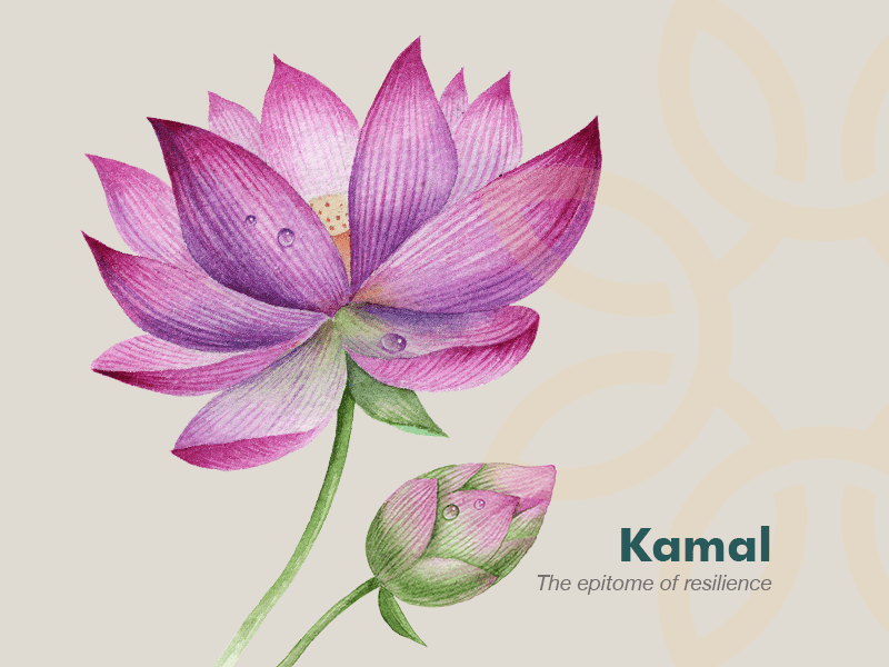 Flower of the month – Lotus – June | Peepal One