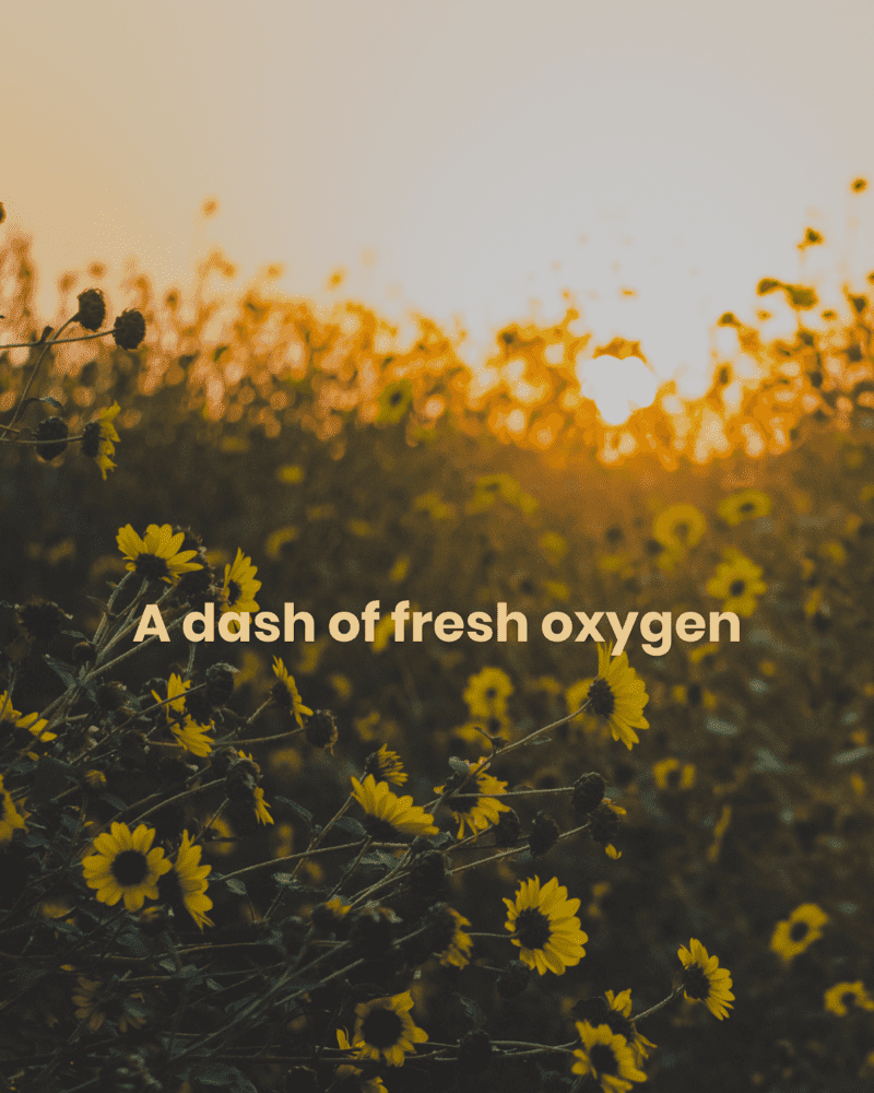 A Dash of Fresh Oxygen | Peepal One
