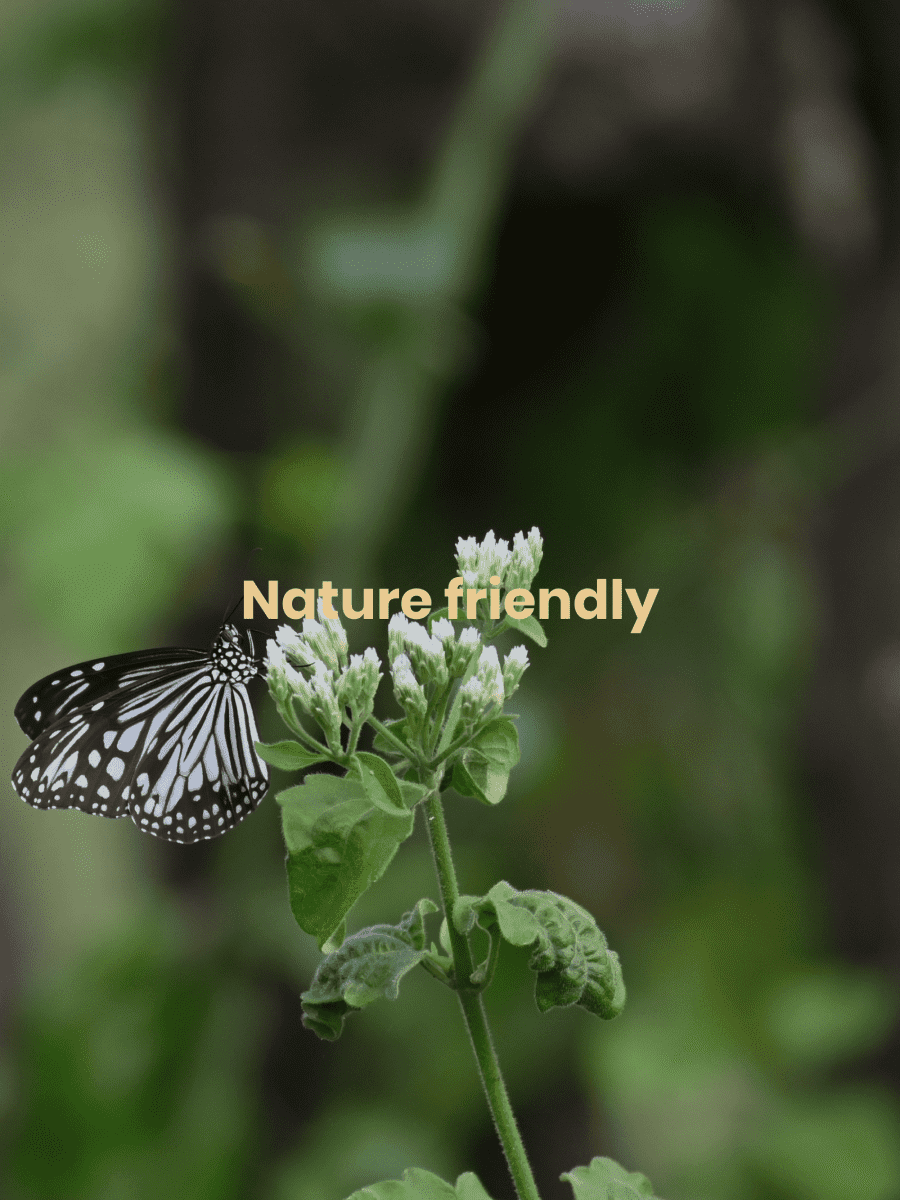 Nature Friendly | Peepal One
