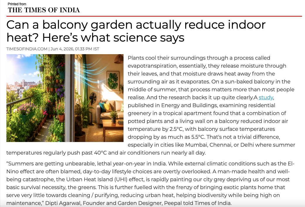 Balcony garden plants to reduce heat
